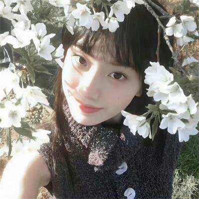 《戴维达丝》